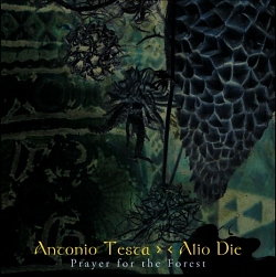 Antonio Testa | Alio Die - Prayer to the Forest