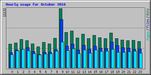 Hourly usage for October 2016
