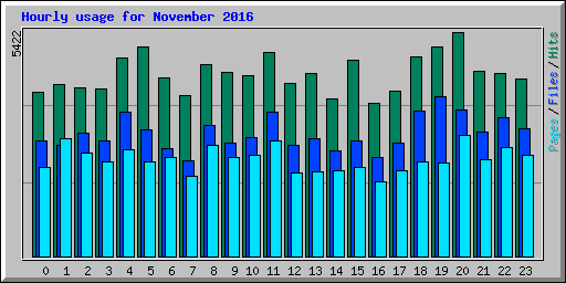 Hourly usage for November 2016