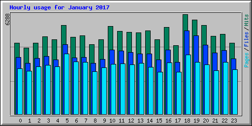 Hourly usage for January 2017