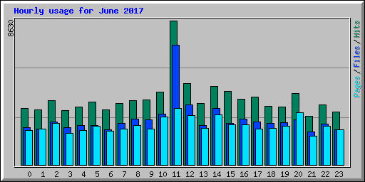 Hourly usage for June 2017