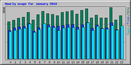 Hourly usage for January 2018